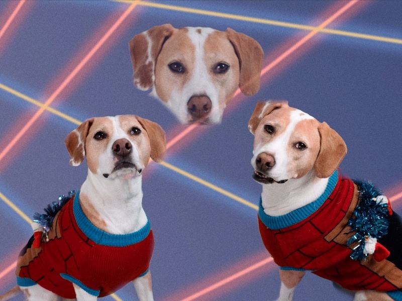 a sweet white and tan hound wearing an ugly Christmas sweater and smiling up at the camera superimposed on an 80s style photo background