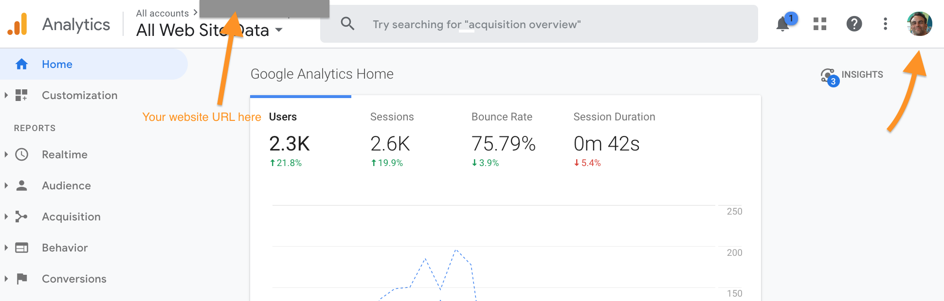 Google Analytics screen capture